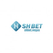 shbetrepair profile image