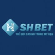 shbetclothing profile image