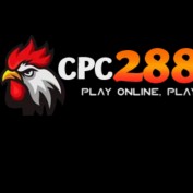 cpc2888xyz profile image