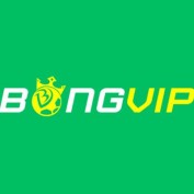 bongvipgroup profile image