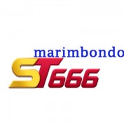 st666marimbondo profile image