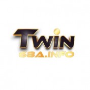 twin68ainfo profile image