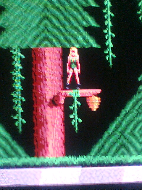 Jill enters the Jungle.