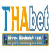 thabetp2com profile image