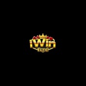 iwinsiliconknights profile image