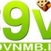 vnmbinfo profile image