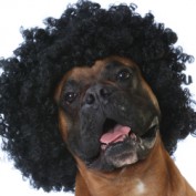 Bradley Sitts profile image