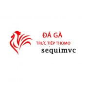 dagasequimvc profile image