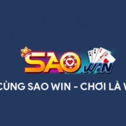 saowiincom profile image