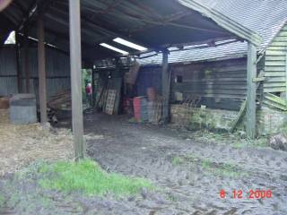 A barn/lean-to was safe haven for the tractor, also the cats, and Patches, perhaps an occasional bobcat.   Some feed for livestock was stored here also.