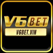 v6betvin profile image