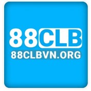 clbvnorg profile image