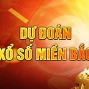 xsmtcam profile image