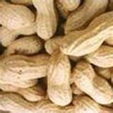 Raw peanuts freshly dug are chewy and fun to eat.