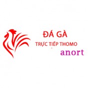 dagaanort profile image