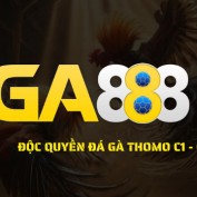 ga888im profile image
