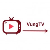vungtvlive profile image