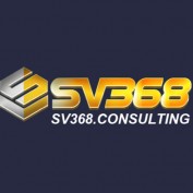 sv368consult profile image