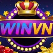 winvnrodeo profile image