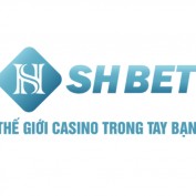 shbetfsts profile image