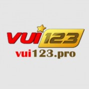 vui123pro profile image