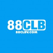 clbvcom88 profile image