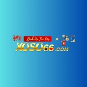 qxkxxs66 profile image