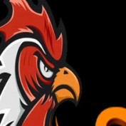 sv388gift profile image