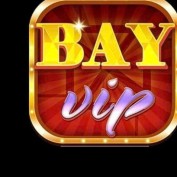bayvipus profile image