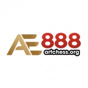 ae888artchess profile image