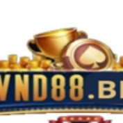 vnd88bestt profile image