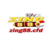 zing88cfd profile image