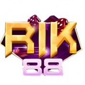 rik88nl profile image