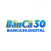 banca30digital profile image