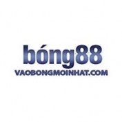 vaobongmoinhatcom profile image