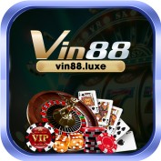 vin luxe profile image