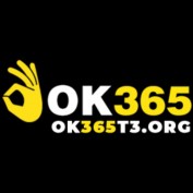ok365t3org profile image