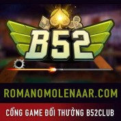 romanomolenaar profile image
