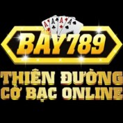 bay789tech profile image