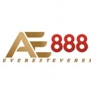 ae888wraptororg profile image