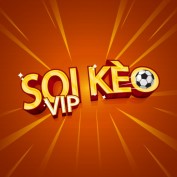 soikeoviporg profile image