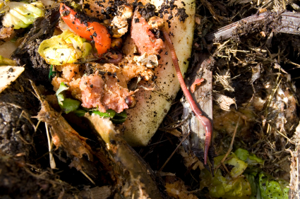 Organic Wastes