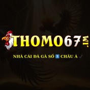 thomo67im profile image