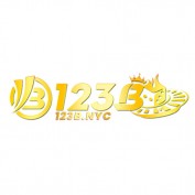 o123bnyc profile image
