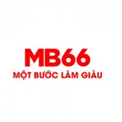 mb66party profile image