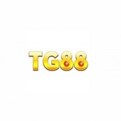 tg88comstore profile image