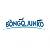 junk-removal-spring-tx profile image