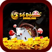 sodo66yachts profile image