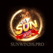 sunwin20spro profile image