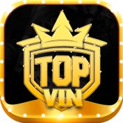 topvinitcom profile image